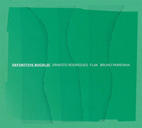 ERNESTO RODRIGUES - Ernesto Rodrigues / Flak / Bruno Parrinha : Definitive Bucolic cover 