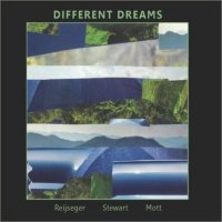 ERNST REIJSEGER - Ernst Reijseger, David Mott, Jesse Stewart : Different Dreams cover 