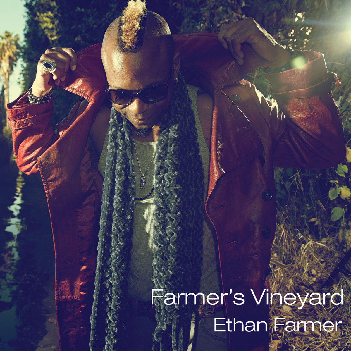 ETHAN FARMER - Farmer's Vineyard cover 