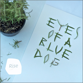 EYES OF A BLUE DOG - Rise cover 