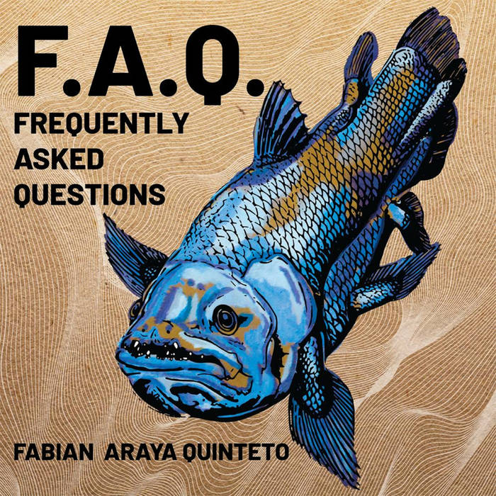 FABIÁN ARAYA - (F​.​A​.​Q​.​) Frequently Asked Questions cover 