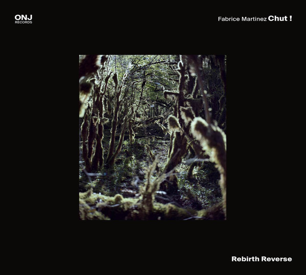 FABRICE MARTINEZ - Rebirth Reverse cover 