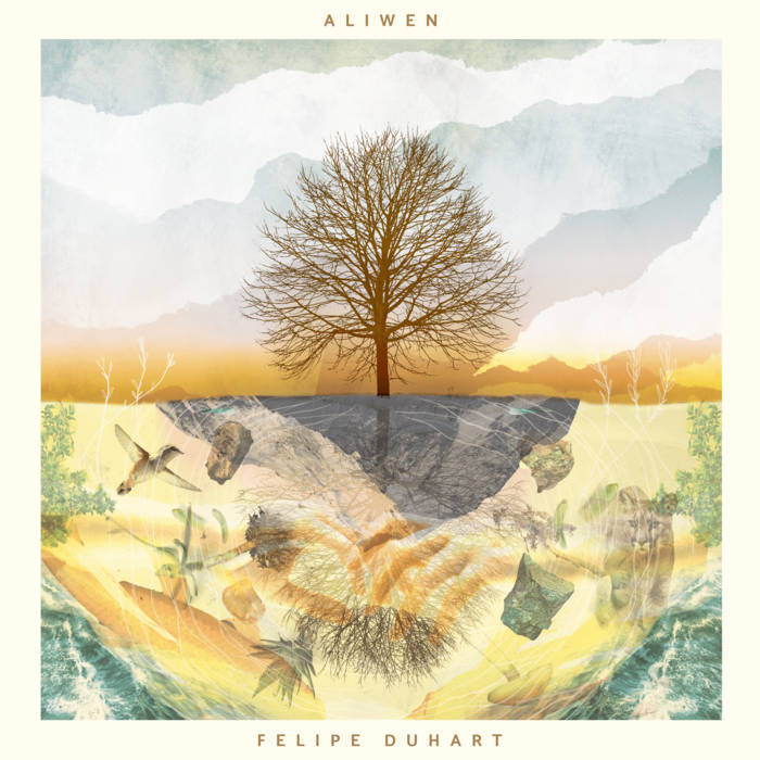 FELIPE DUHART - Aliwen cover 