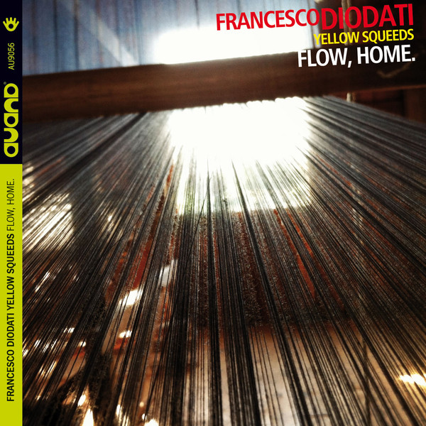 FRANCESCO DIODATI - Francesco Diodati, Yellow Squeeds : Flow, Home. cover 