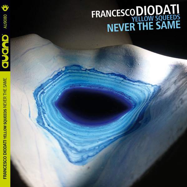 FRANCESCO DIODATI - Francesco Diodati, Yellow Squeeds ‎: Never The Same cover 