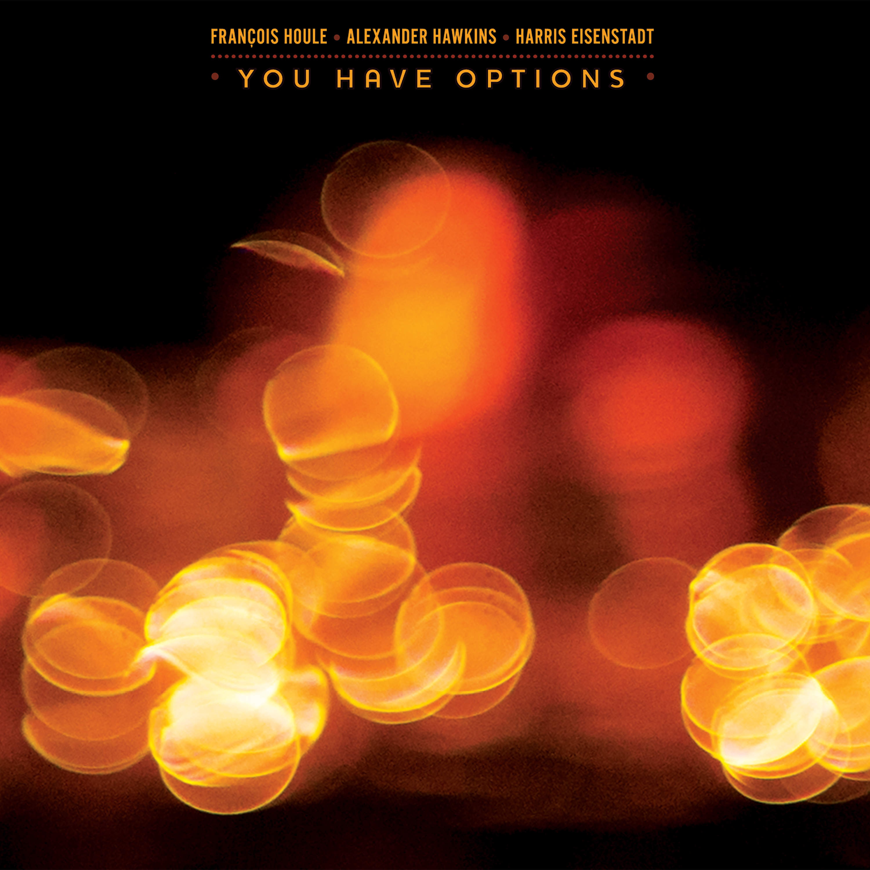 FRANOIS HOULE - Francois Houle - Alexander Hawkins - Harris Eisenstadt : You Have Options cover 