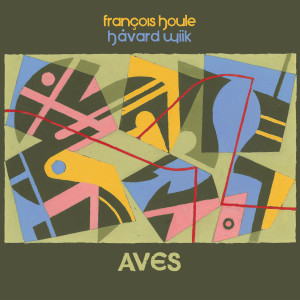 FRANÇOIS HOULE - François Houle & Håvard Wiik: Aves cover 