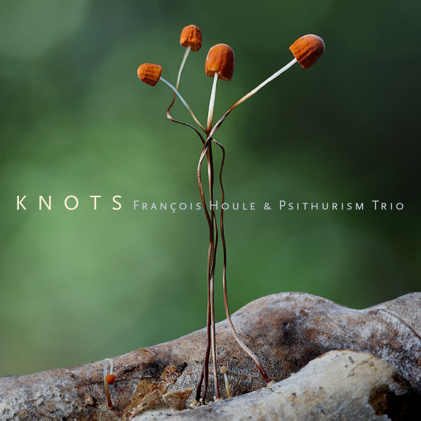 FRANÇOIS HOULE - François Houle & Psithurism Trio : Knots cover 
