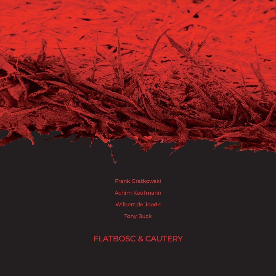 FRANK GRATKOWSKI - Frank Gratkowski / Achim Kaufmann / Wilbert de Joode and Tony Buck : Flatbosc & Cautery cover 