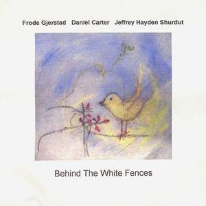 FRODE GJERSTAD - Behind The White Fences cover 