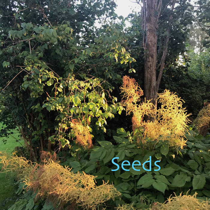 FRODE GJERSTAD - Seeds cover 