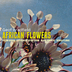 GEOF BRADFIELD - African Flowers cover 