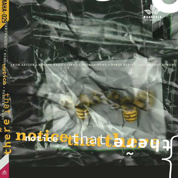 GEORGE CARTWRIGHT - George Cartwright, Chad Fowler, Steve Hirsh, Christopher Parker, Kelley Hurt : Notice That There cover 