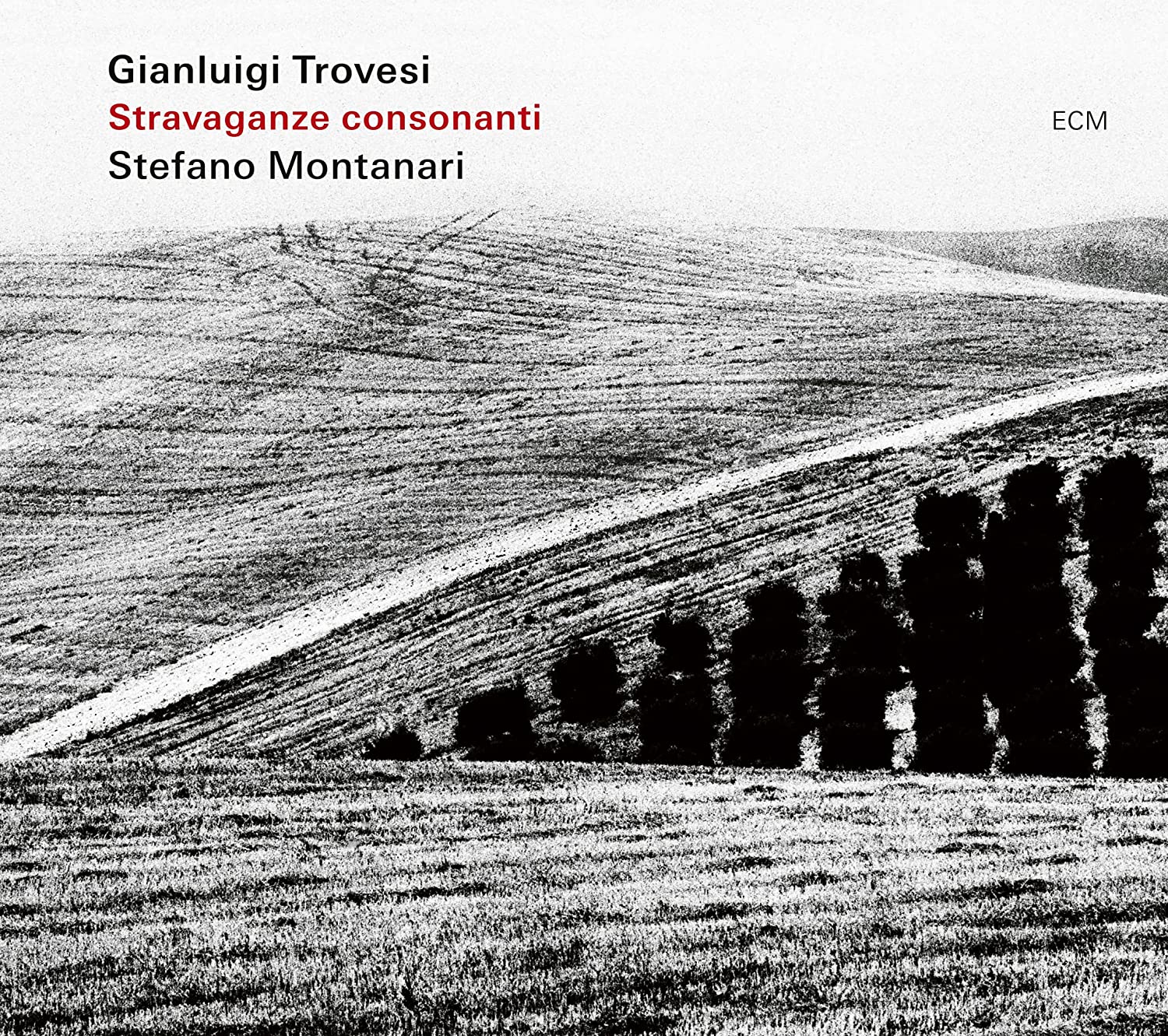 GIANLUIGI TROVESI - Gianluigi Trovesi & Stefano Montanari : Stravaganze Consonanti cover 