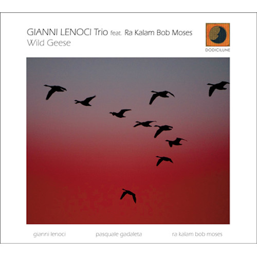 GIANNI LENOCI - Wlid Geese cover 