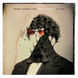 GONÇALO ALMEIDA - Almeida / Duynhoven / Klein : Vibrate in Sympathy cover 