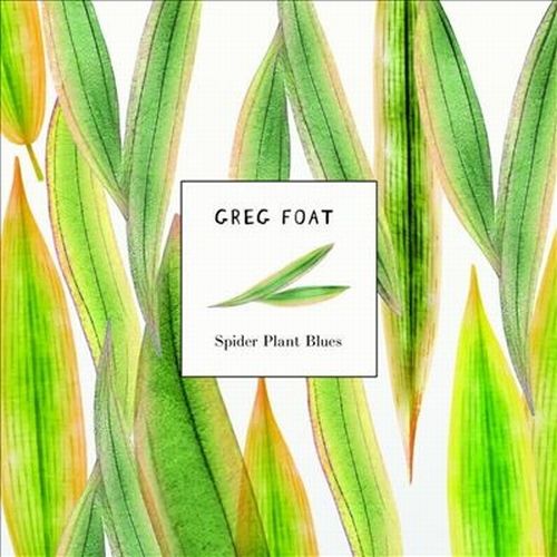 GREG FOAT - Spider Plant Blues cover 