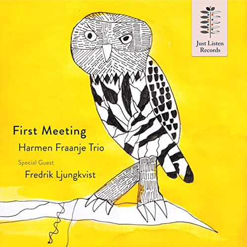 HARMEN FRAANJE - Harmen Fraanje Trio : First Meeting cover 