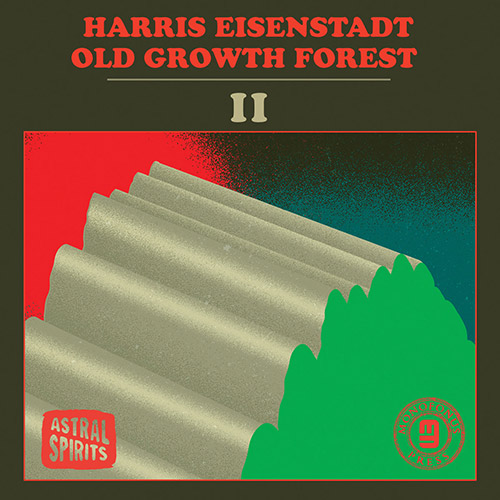 HARRIS EISENSTADT - Old Growth Forest II cover 