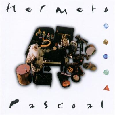 HERMETO PASCOAL - Eu e eles cover 