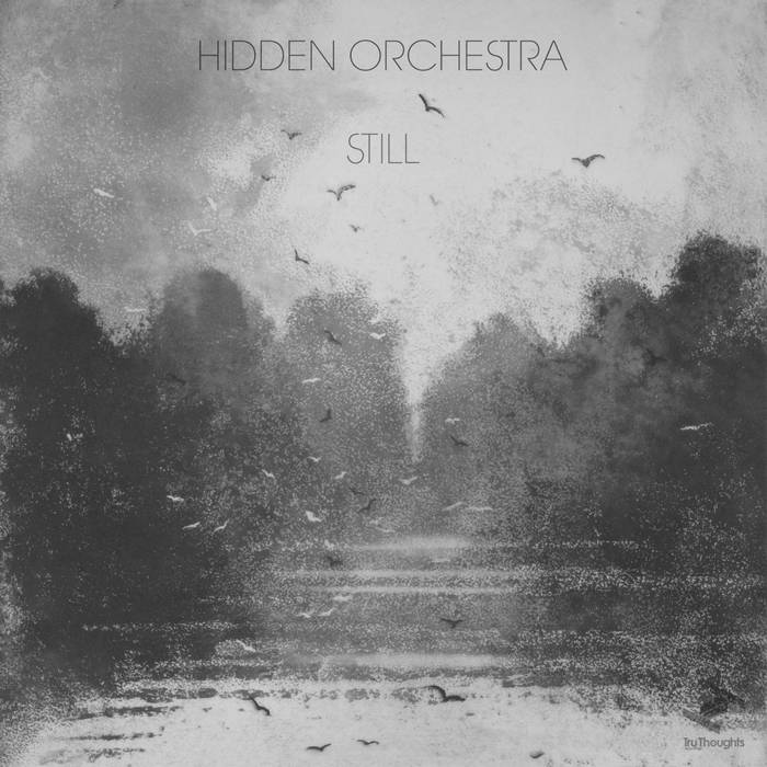 HIDDEN ORCHESTRA - Still cover 