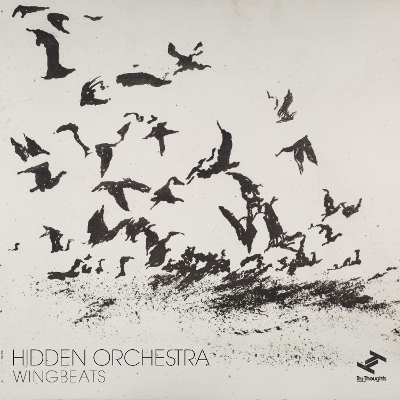 HIDDEN ORCHESTRA - Wingbeats cover 