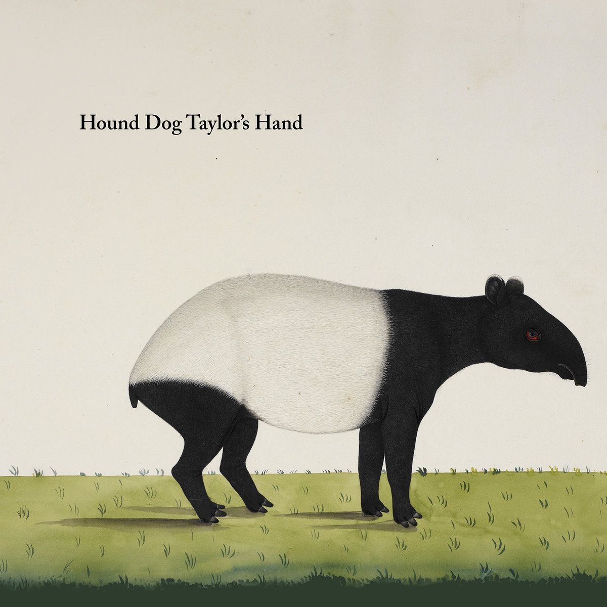 HOUND DOG TAYLOR'S HAND - Hound Dog Taylor's Hand (2019) cover 