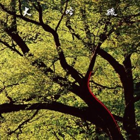 HOZAN YAMAMOTO - Daiginjo cover 