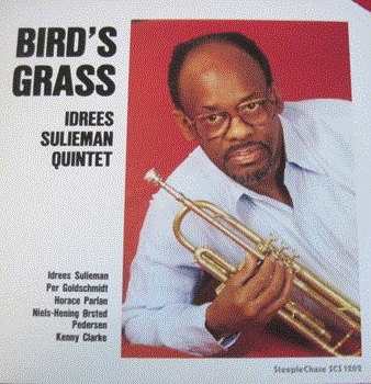 IDREES SULIEMAN - Bird's Grass cover 