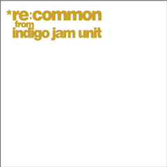INDIGO JAM UNIT - Re:Common cover 