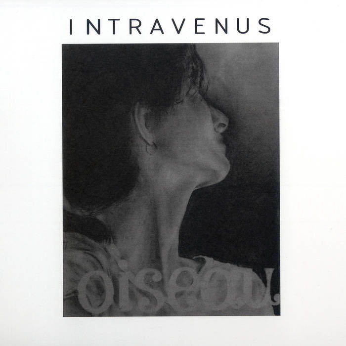 INTRAVENUS - Oiseau cover 