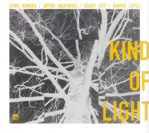 IZUMI KIMURA - Izumi Kimura / Artur Majewski / Barry Guy / Ramon Lopez : Kind Of Light cover 
