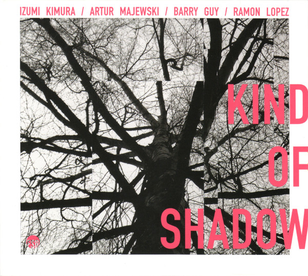 IZUMI KIMURA - Izumi Kimura / Artur Majewski / Barry Guy / Ramon Lopez : Kind Of Shadow cover 