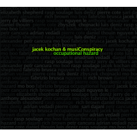JACEK KOCHAN - Jacek Kochan & musiConspiracy : Occupational Hazard cover 