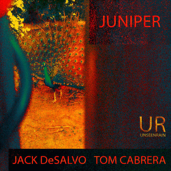JACK DESALVO - Jack DeSalvo & Tom Cabrera : Juniper cover 