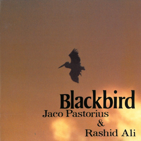 JACO PASTORIUS - Blackbird (with Rashid Ali) cover 