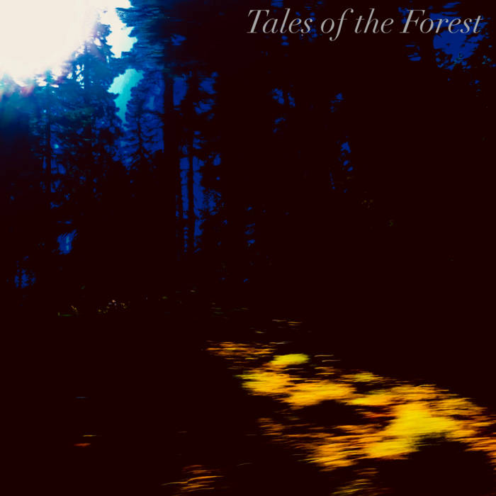 JAKE GOTLIEB'S BANACH-TARSKI PARADOX - Tales of the Forest cover 