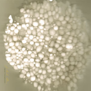 JAKOB BRO - Sidetracked cover 