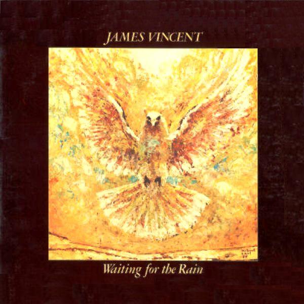 JAMES VINCENT - Waiting For The Rain cover 