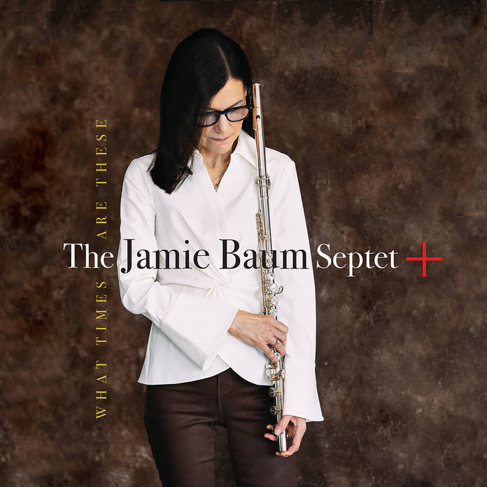 JAMIE BAUM - Jamie Baum Septet+ : What Times Are These cover 