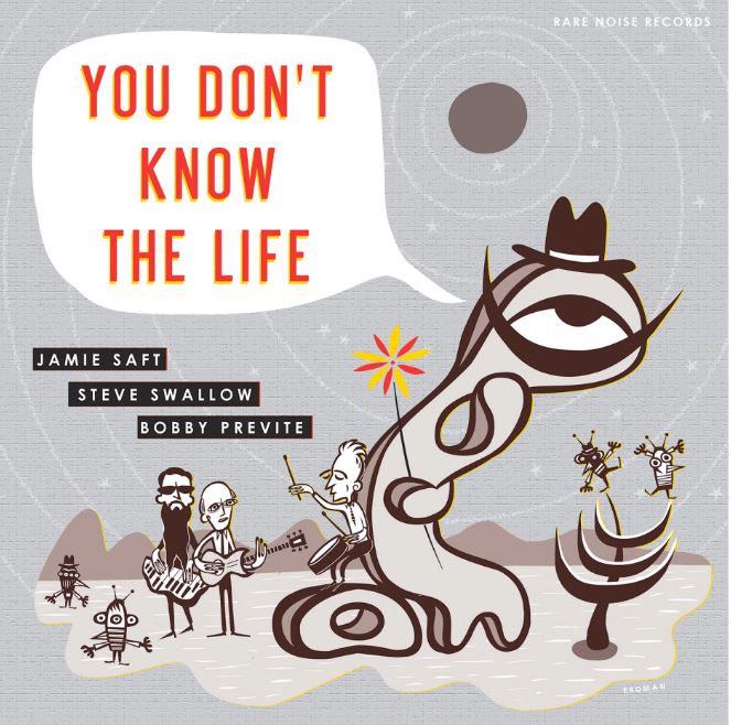 JAMIE SAFT - You Don't Know The Life cover 