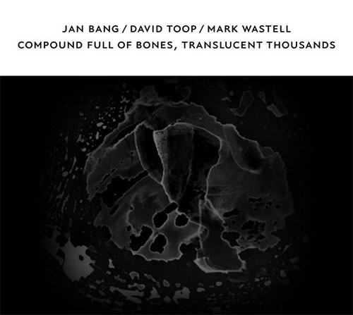 JAN BANG - Jan Bang/ David Toop / Mark Wastell : Compound Full Of Bones, Translucent Thousands cover 