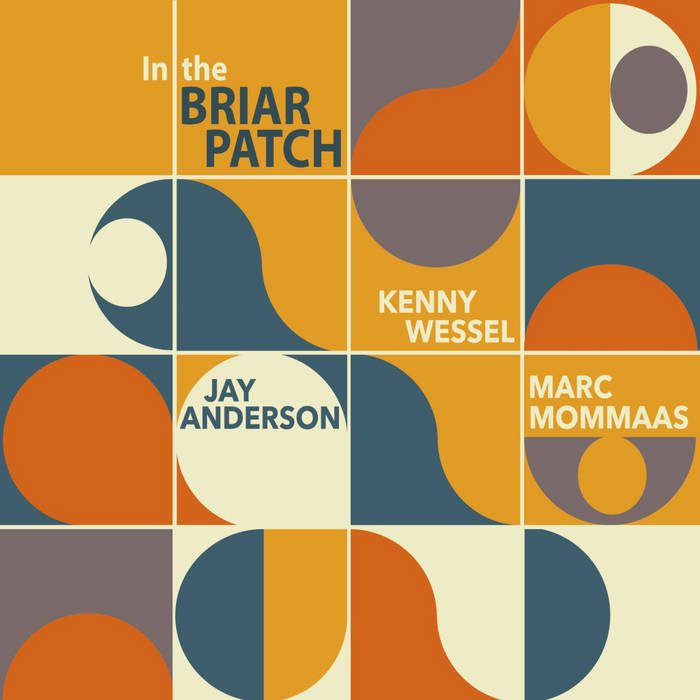 JAY ANDERSON - In the Briar Patch cover 