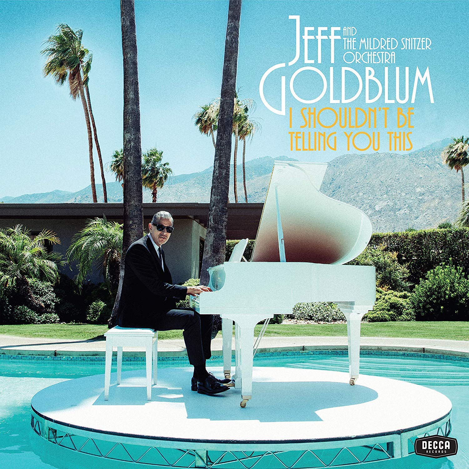 JEFF GOLDBLUM - I Shouldn’t Be Telling You This cover 