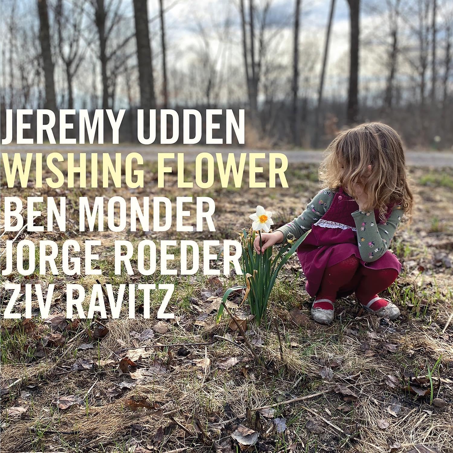JEREMY UDDEN - Wishing Flower cover 