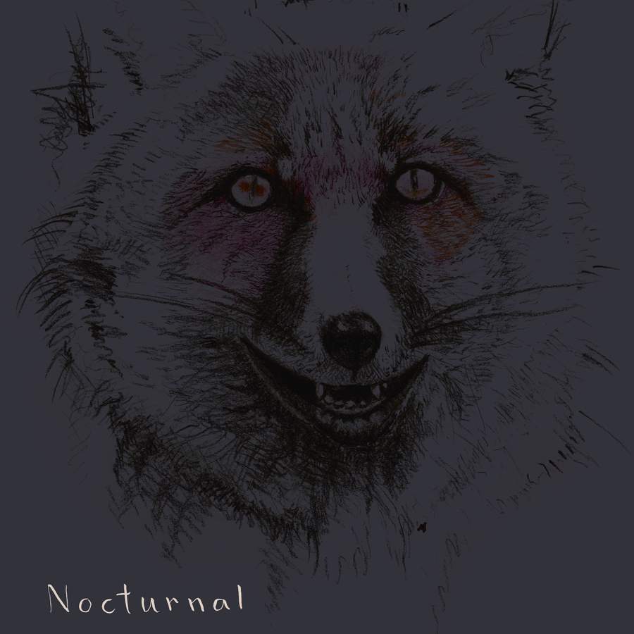 ZEUTHEN / ANDERSKOV / VESTERGAARD - Nocturnal cover 