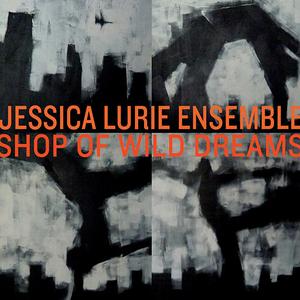 JESSICA LURIE - Shop of Wild Dreams cover 