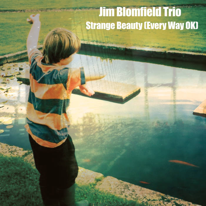 JIM BLOMFIELD - Strange Beauty (Every Way OK) cover 