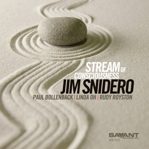 JIM SNIDERO - Stream of Consciousness cover 