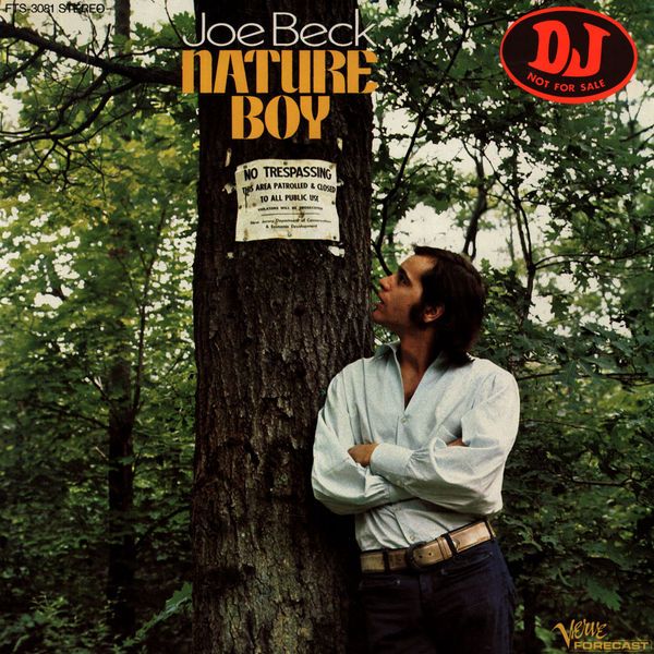 JOE BECK - Nature Boy cover 